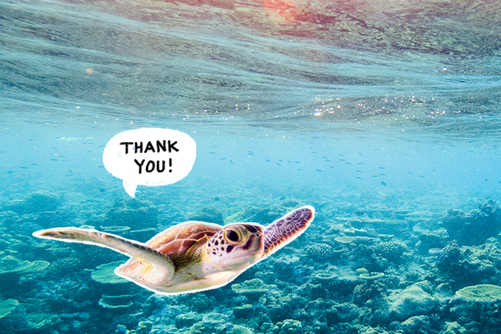 World oceans day | Help mee voor een plasticvrije zee!
