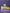 Citronella Summer Bundle