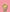 Body Butter Bar Blossom