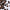 Promotiebanner