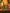 Promotiebanner
