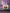 Promotiebanner