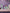 Promotiebanner