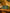 Promotiebanner