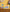 Promotiebanner