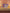 Promotiebanner