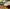 Promotiebanner
