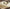 Promotiebanner