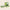 Promotiebanner