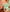 Promotiebanner