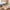 Promotiebanner